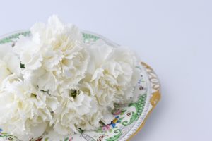 白いカーネーション